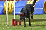 wedstrijd apeldoorn 18-04-2026
