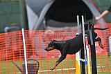 wedstrijd apeldoorn 18-04-2026
