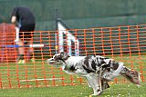 wedstrijd apeldoorn 18-04-2026