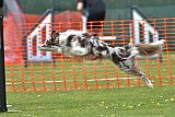 wedstrijd apeldoorn 18-04-2026