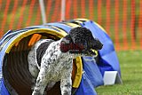 wedstrijd apeldoorn 18-04-2026