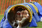 wedstrijd apeldoorn 18-04-2026