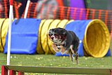 wedstrijd apeldoorn 18-04-2026