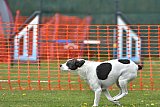 wedstrijd apeldoorn 18-04-2026