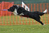 wedstrijd apeldoorn 18-04-2026