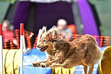 wedstrijd apeldoorn 18-04-2026