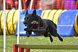 wedstrijd apeldoorn 18-04-2026