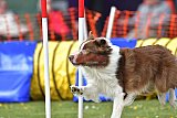 wedstrijd apeldoorn 18-04-2026