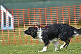 wedstrijd apeldoorn 18-04-2026