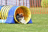 wedstrijd apeldoorn 18-04-2026