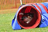 wedstrijd apeldoorn 18-04-2026