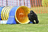 wedstrijd apeldoorn 18-04-2026