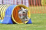 wedstrijd apeldoorn 18-04-2026