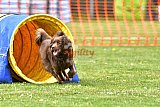 wedstrijd apeldoorn 18-04-2026