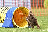 wedstrijd apeldoorn 18-04-2026