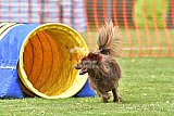 wedstrijd apeldoorn 18-04-2026