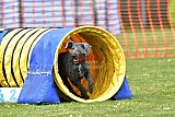 wedstrijd apeldoorn 18-04-2026