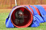 wedstrijd apeldoorn 18-04-2026