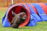 wedstrijd apeldoorn 18-04-2026