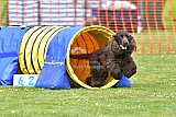 wedstrijd apeldoorn 18-04-2026