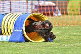 wedstrijd apeldoorn 18-04-2026
