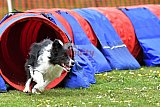 wedstrijd apeldoorn 18-04-2026