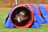 wedstrijd apeldoorn 18-04-2026