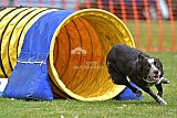 wedstrijd apeldoorn 18-04-2026