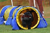 wedstrijd apeldoorn 18-04-2026