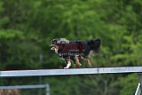 wedstrijd apeldoorn 18-04-2026