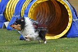 wedstrijd apeldoorn 18-04-2026