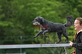 wedstrijd apeldoorn 18-04-2026