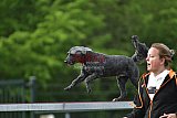 wedstrijd apeldoorn 18-04-2026