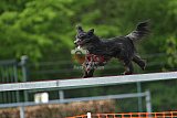 wedstrijd apeldoorn 18-04-2026