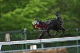 wedstrijd apeldoorn 18-04-2026