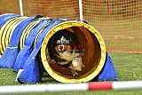 wedstrijd apeldoorn 18-04-2026