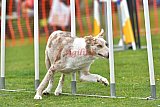 wedstrijd apeldoorn 18-04-2026