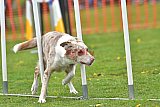 wedstrijd apeldoorn 18-04-2026