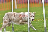 wedstrijd apeldoorn 18-04-2026
