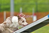 wedstrijd apeldoorn 18-04-2026