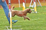 wedstrijd apeldoorn 18-04-2026