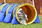 wedstrijd apeldoorn 18-04-2026
