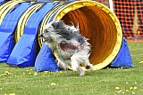 wedstrijd apeldoorn 18-04-2026