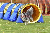 wedstrijd apeldoorn 18-04-2026