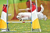 wedstrijd apeldoorn 18-04-2026