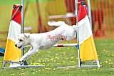 wedstrijd apeldoorn 18-04-2026