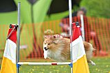 wedstrijd apeldoorn 18-04-2026