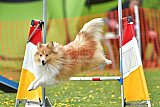 wedstrijd apeldoorn 18-04-2026