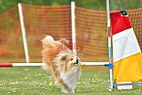 wedstrijd apeldoorn 18-04-2026