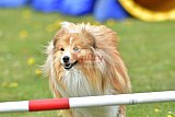 wedstrijd apeldoorn 18-04-2026